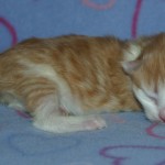 kendi 1 day 1
