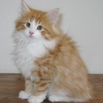 taavi 10 wks 3