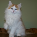 carwyn 14 wks 4