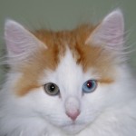 carwyn face shot 14 wks