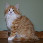 taavi 14 wks 3