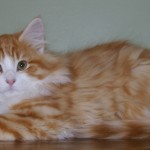 taavi 14 wks 4