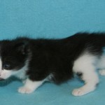 alaric 3 wks 1