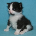 alaric 3 wks 3