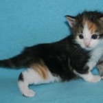 reagan 3 wks 1