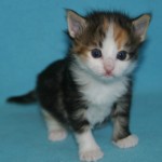 reagan 3 wks 2