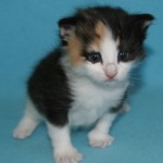 tatiana 3 wks 1