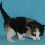 tatiana 3 wks 2